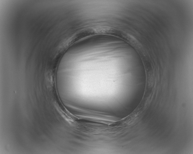 X0000054430405200508121824