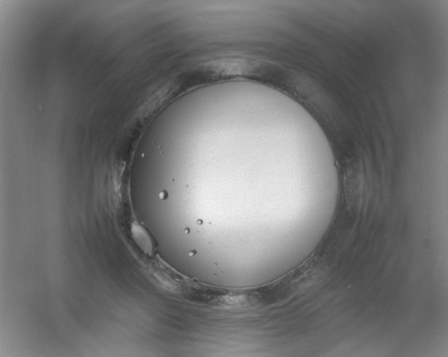 X0000054430406200508121824