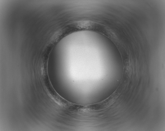 X0000054430408200508121824