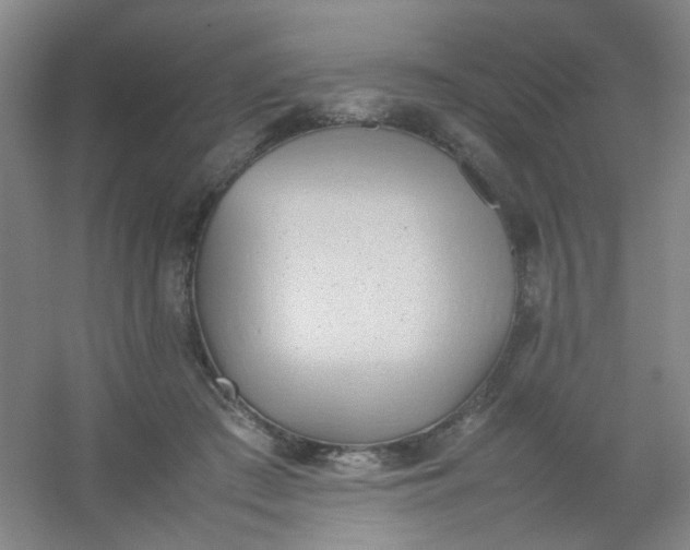 X0000054430409200508121824