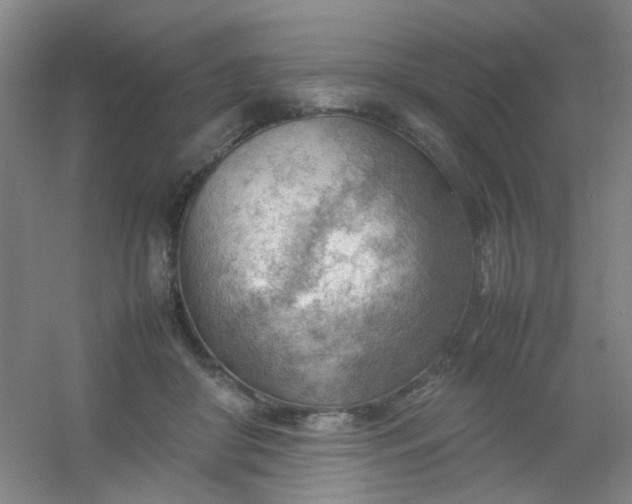 X0000054430410200508121824