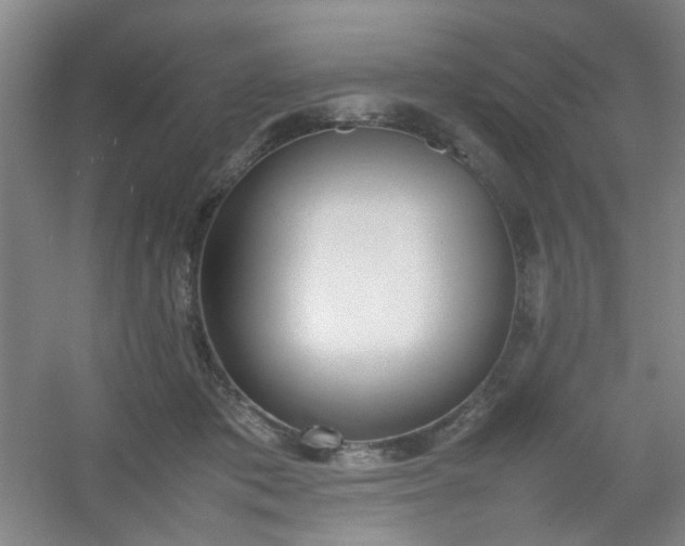 X0000054430413200508121823