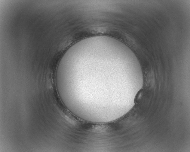 X0000054430414200508121823