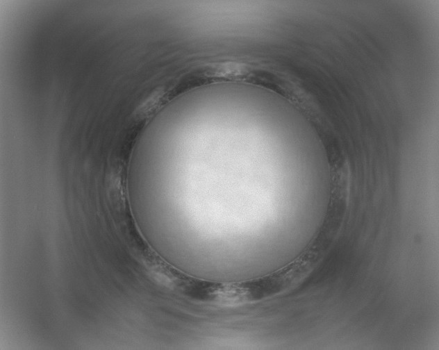 X0000054430415200508121823