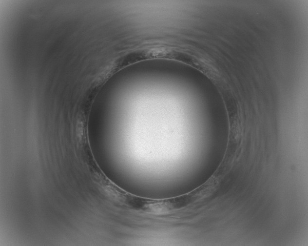 X0000054430417200508121823