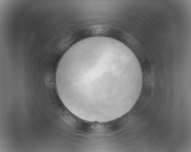 X0000054430419200508121823