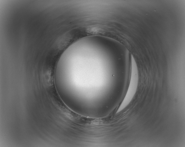 X0000054430420200508121823