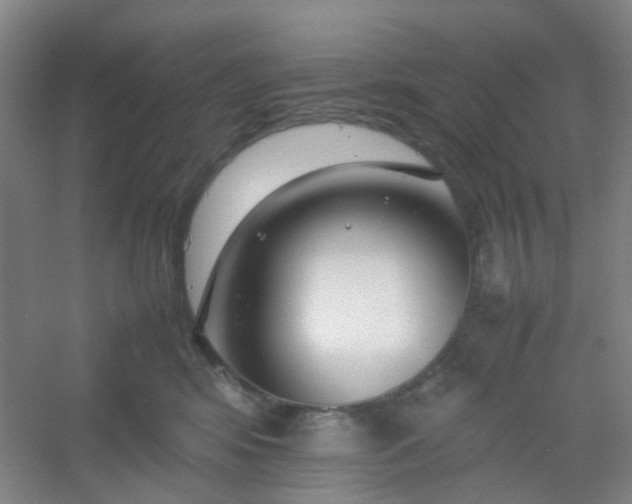 X0000054430424200508121823