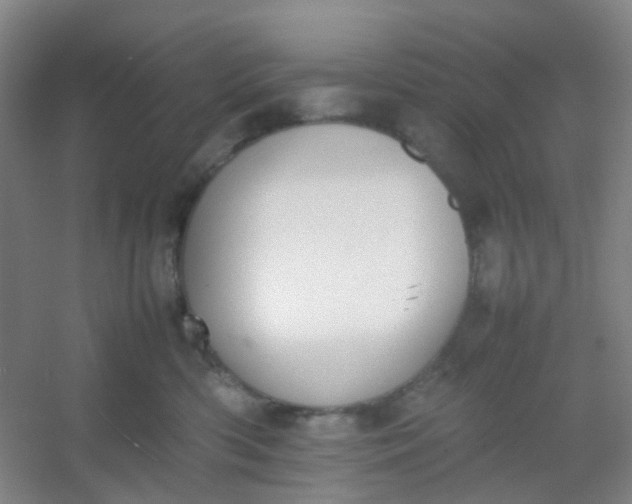 X0000054430426200508121823