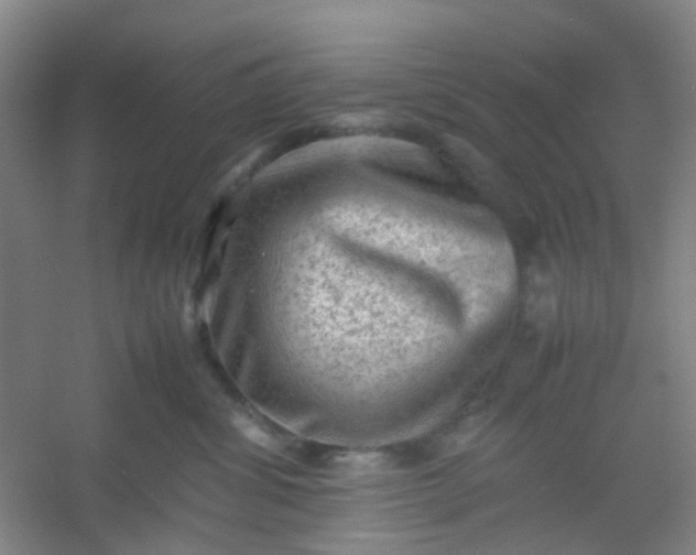 X0000054430428200508121823