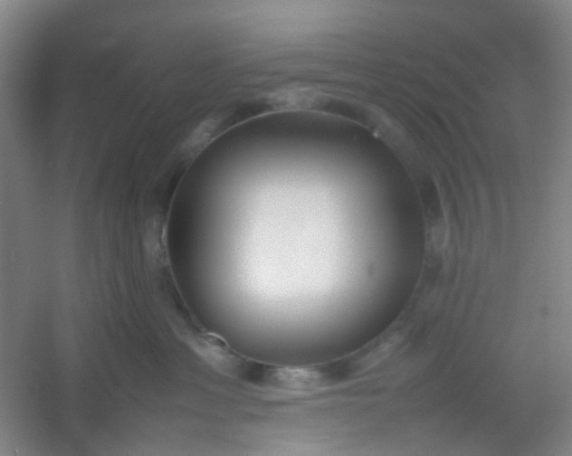 X0000054430429200508121823