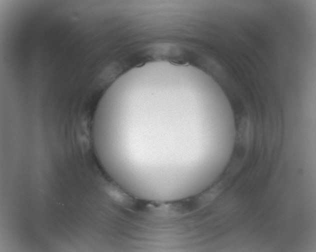 X0000054430430200508121823