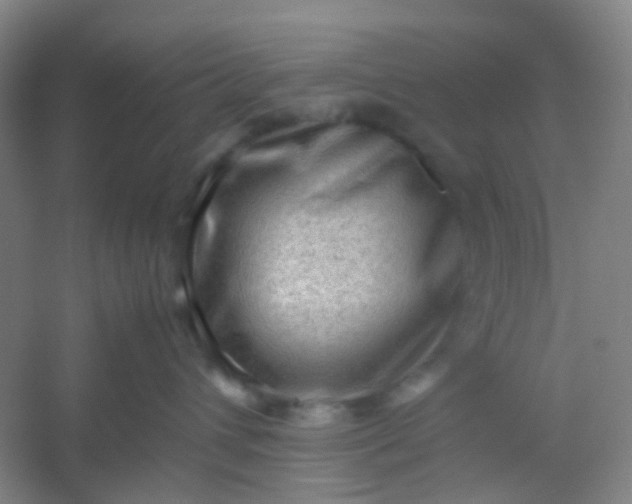 X0000054430432200508121823