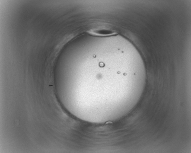 X0000054430433200508121822