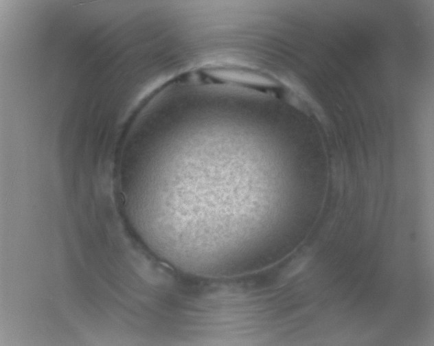 X0000054430434200508121822