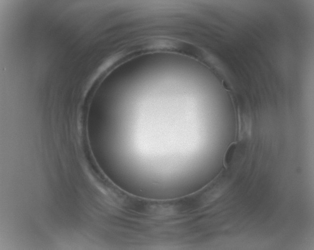 X0000054430435200508121822