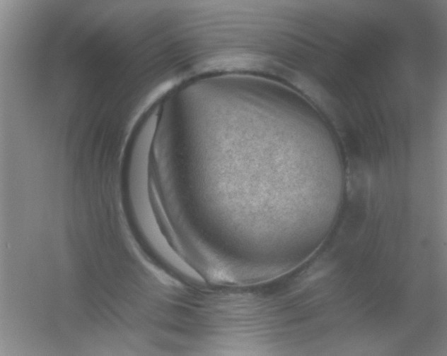 X0000054430438200508121822