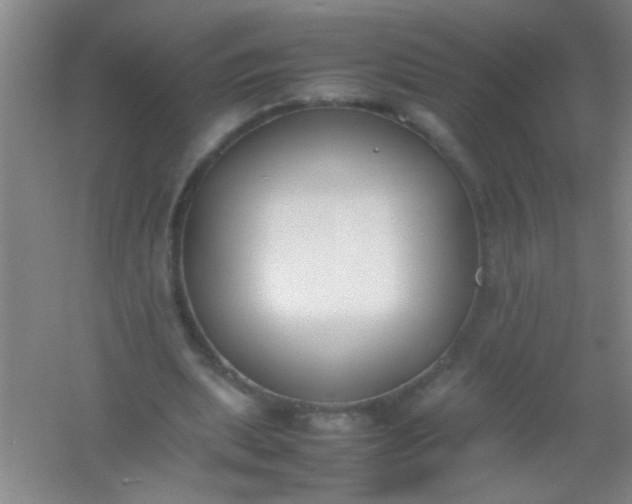 X0000054430439200508121822