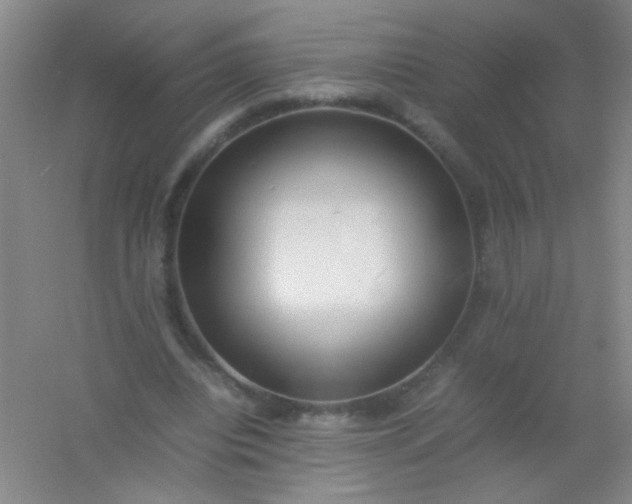 X0000054430440200508121822