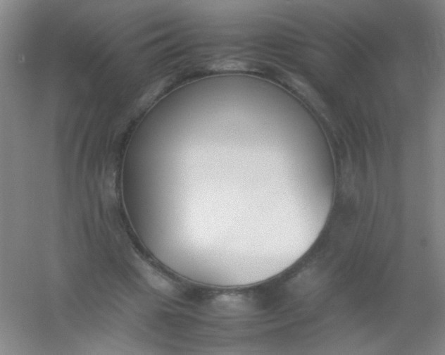 X0000054430441200508121822