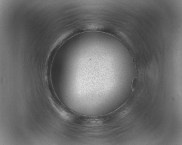 X0000054430443200508121822