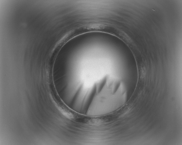 X0000054430444200508121822