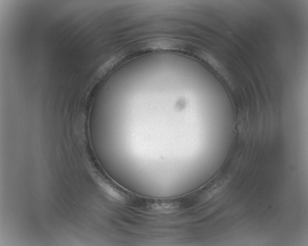 X0000054430445200508121823