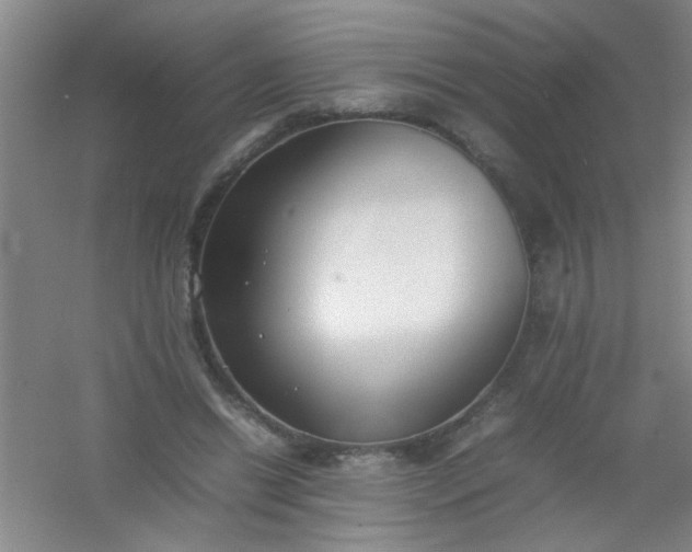 X0000054430446200508121823