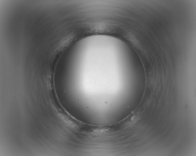 X0000054430450200508121823