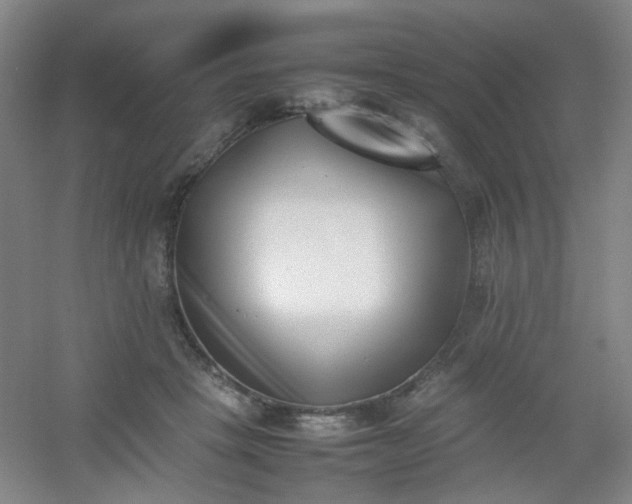 X0000054430457200508121823