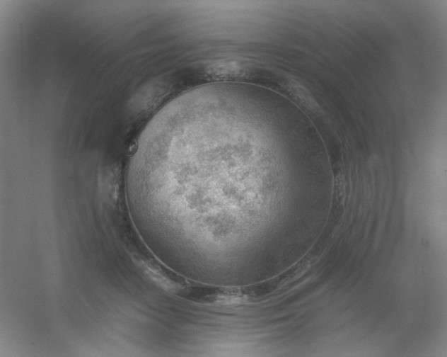 X0000054430458200508121823