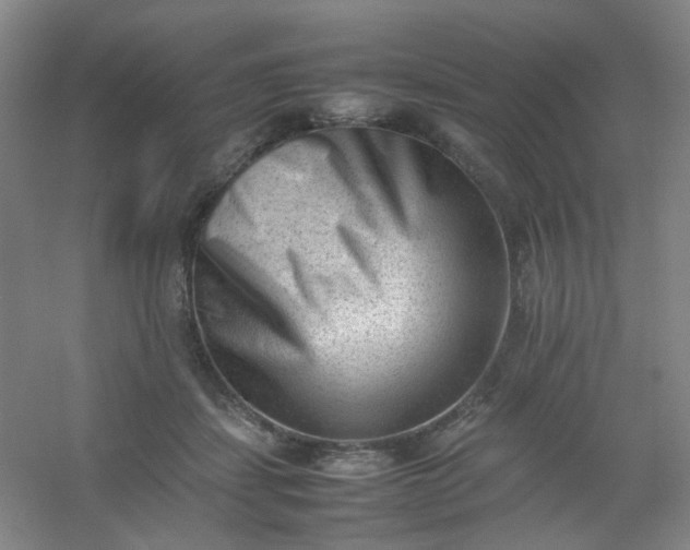 X0000054430459200508121823