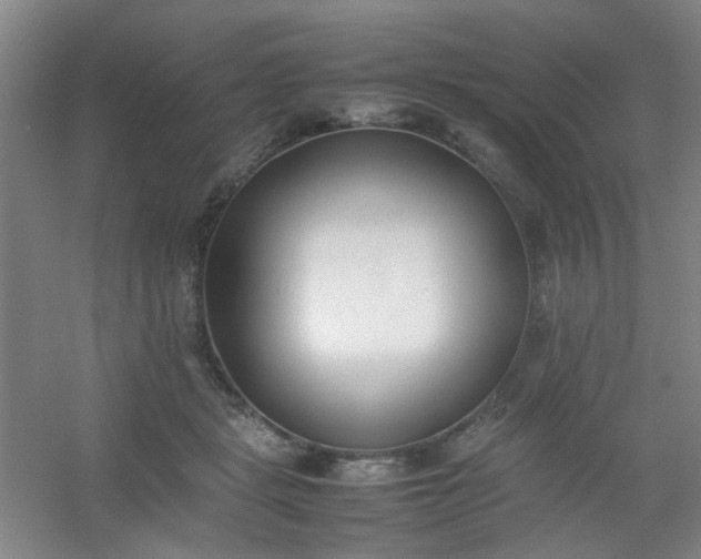 X0000054430461200508121823