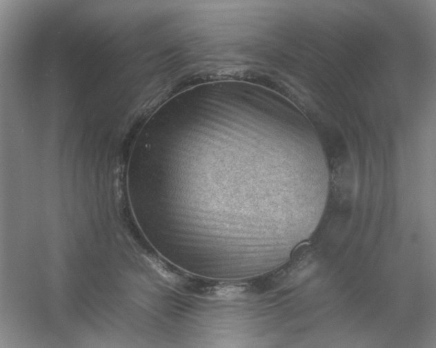 X0000054430462200508121823