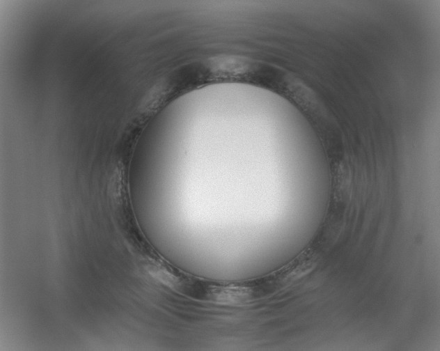 X0000054430463200508121823