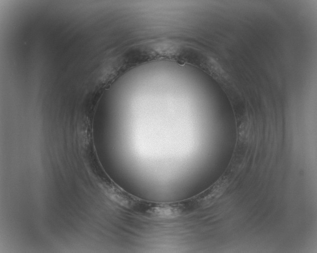 X0000054430464200508121823