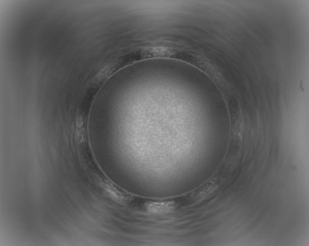 X0000054430465200508121823