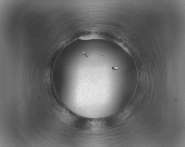 X0000054430466200508121823