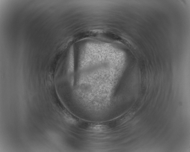 X0000054430467200508121823