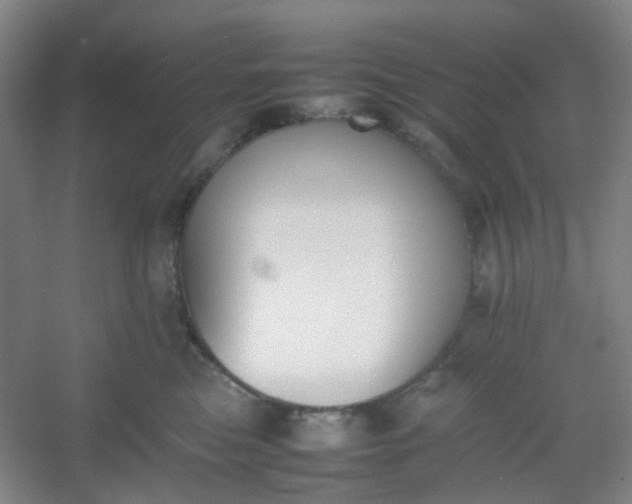 X0000054430473200508121823