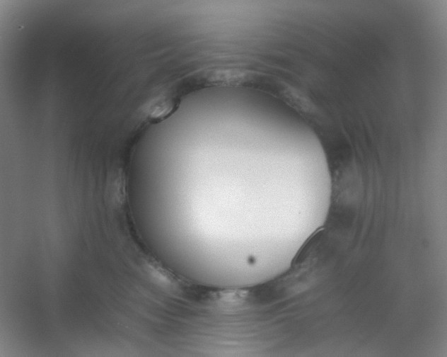 X0000054430474200508121823