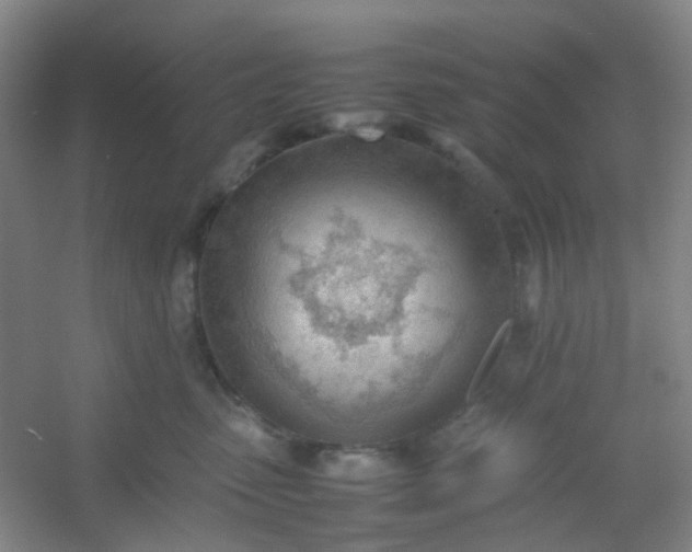 X0000054430475200508121823