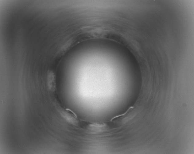 X0000054430480200508121823