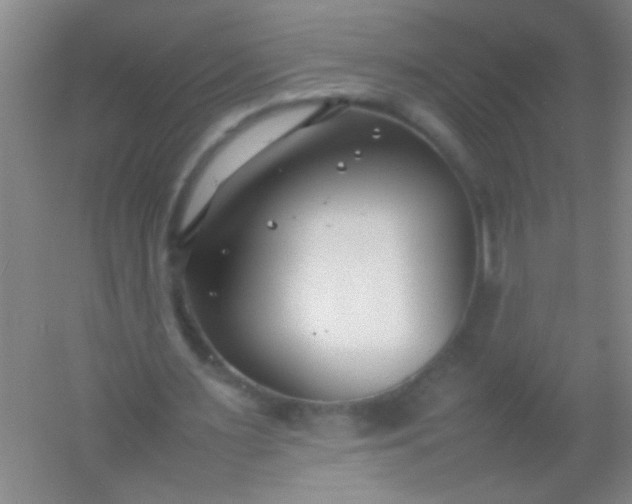 X0000054430483200508121822