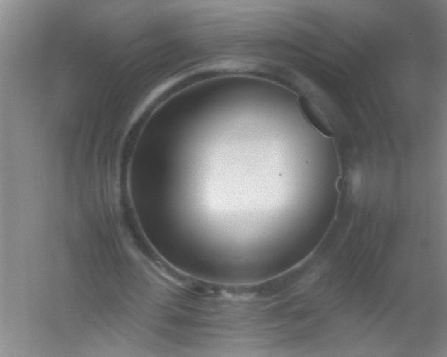 X0000054430484200508121822