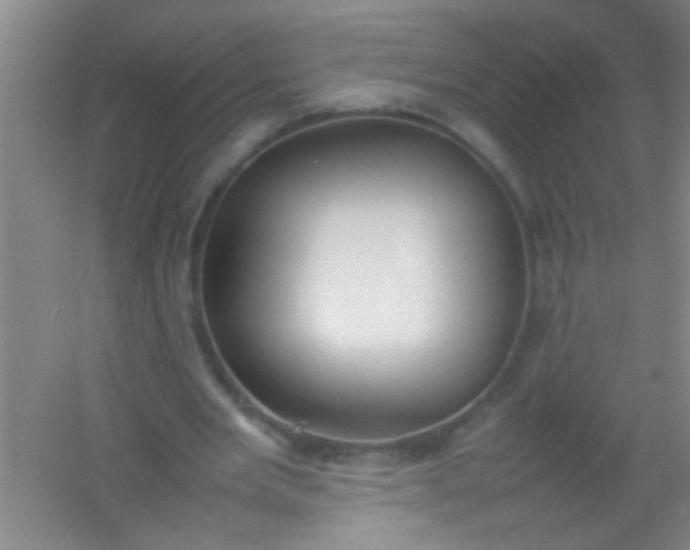 X0000054430485200508121822