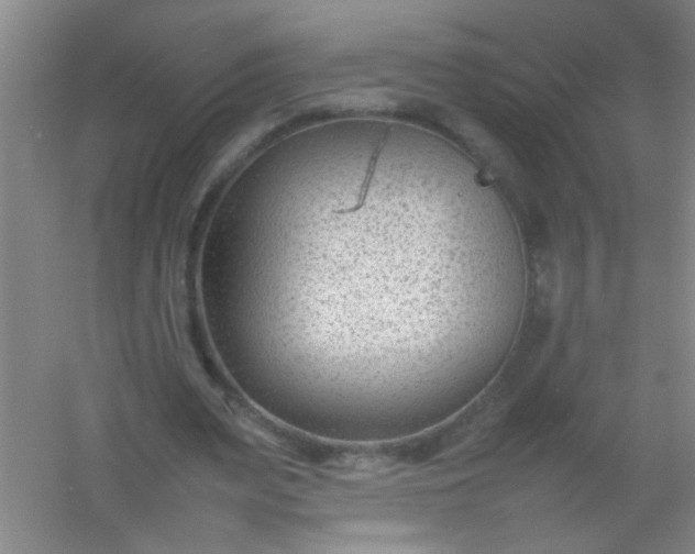 X0000054430487200508121822