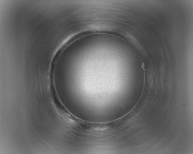 X0000054430488200508121822