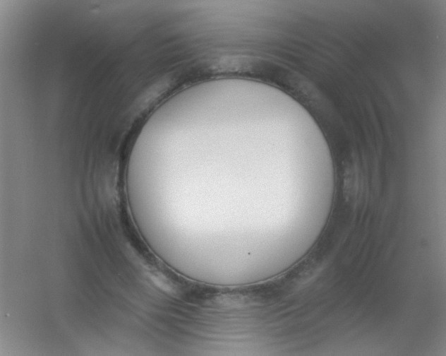 X0000054430490200508121822