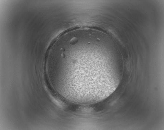 X0000054430491200508121822